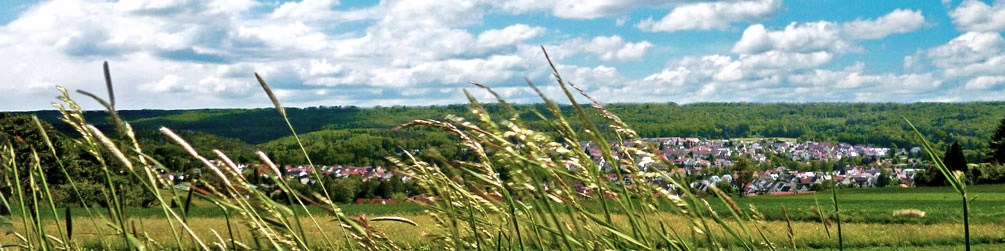 Schwäbischer Albverein | Ortsgruppe Dettenhausen